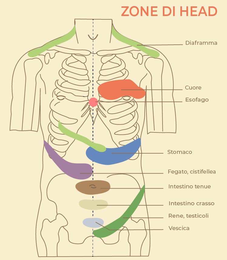 Illustrazione delle zone di Head sul tronco anteriore che mostrano la relazione tra pelle e organi interni
